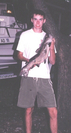 catfish.jpg